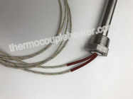 Stainless Steel 316 Sheath Water Immersion Cartridge Heater With NPT Thread