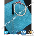 Portable PT100 RTD Temperature Sensor With Pointed End