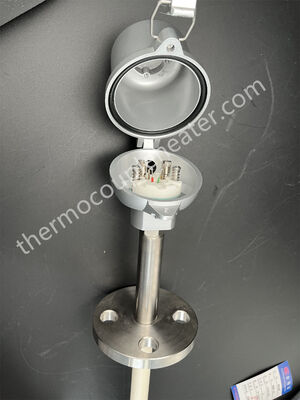 High Temp Thermocouples with Ceramic Tubes and Heads in dual protective ceramic tube