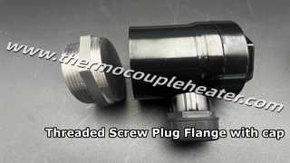 Custom SS304 Threaded Screw Plug Flange for Immersion Heater with Matching Plastic Cap
